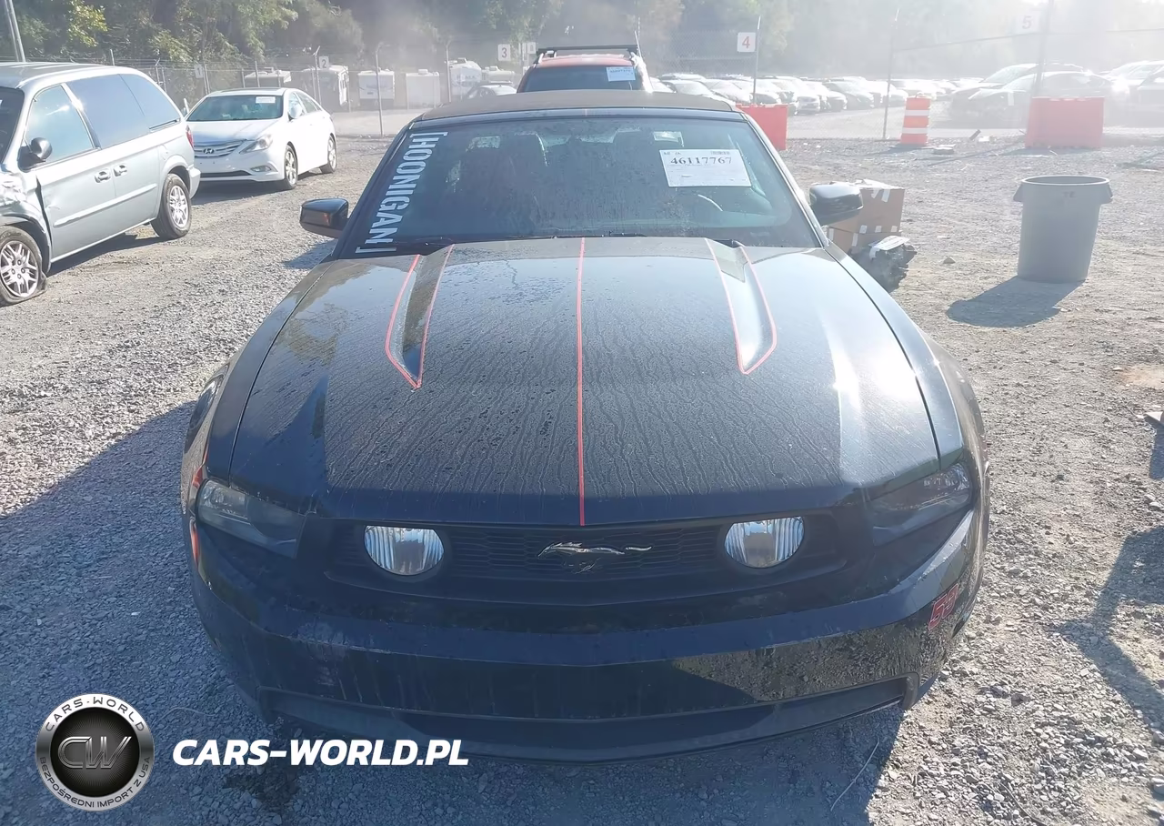 2011 Ford Mustang Gt Premium VIN:1ZVBP8FF3B5101664 - 6