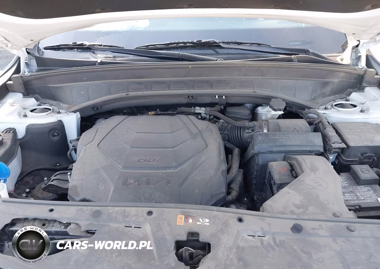 2023 Kia Telluride S VIN:5XYP64GC0PG346588 - 10