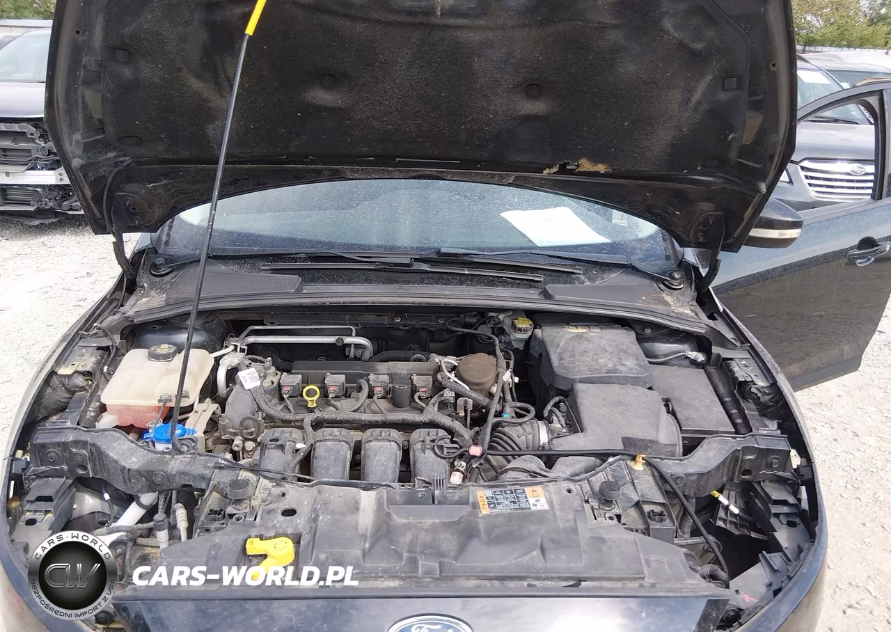 2015 Ford Focus Se VIN:1FADP3F25FL218228 - 10