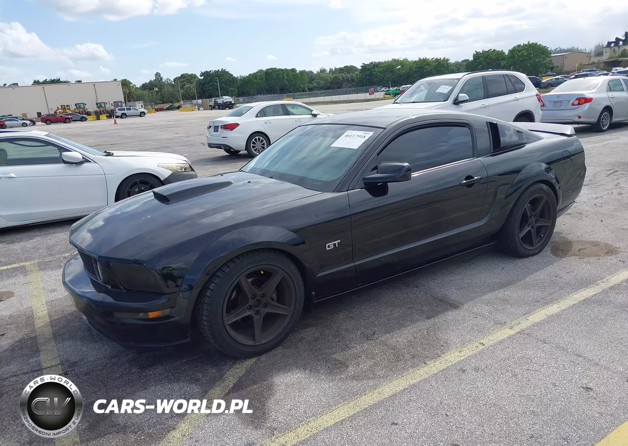 2006 Ford Mustang V6 VIN:1ZVFT80N265181011 - 2