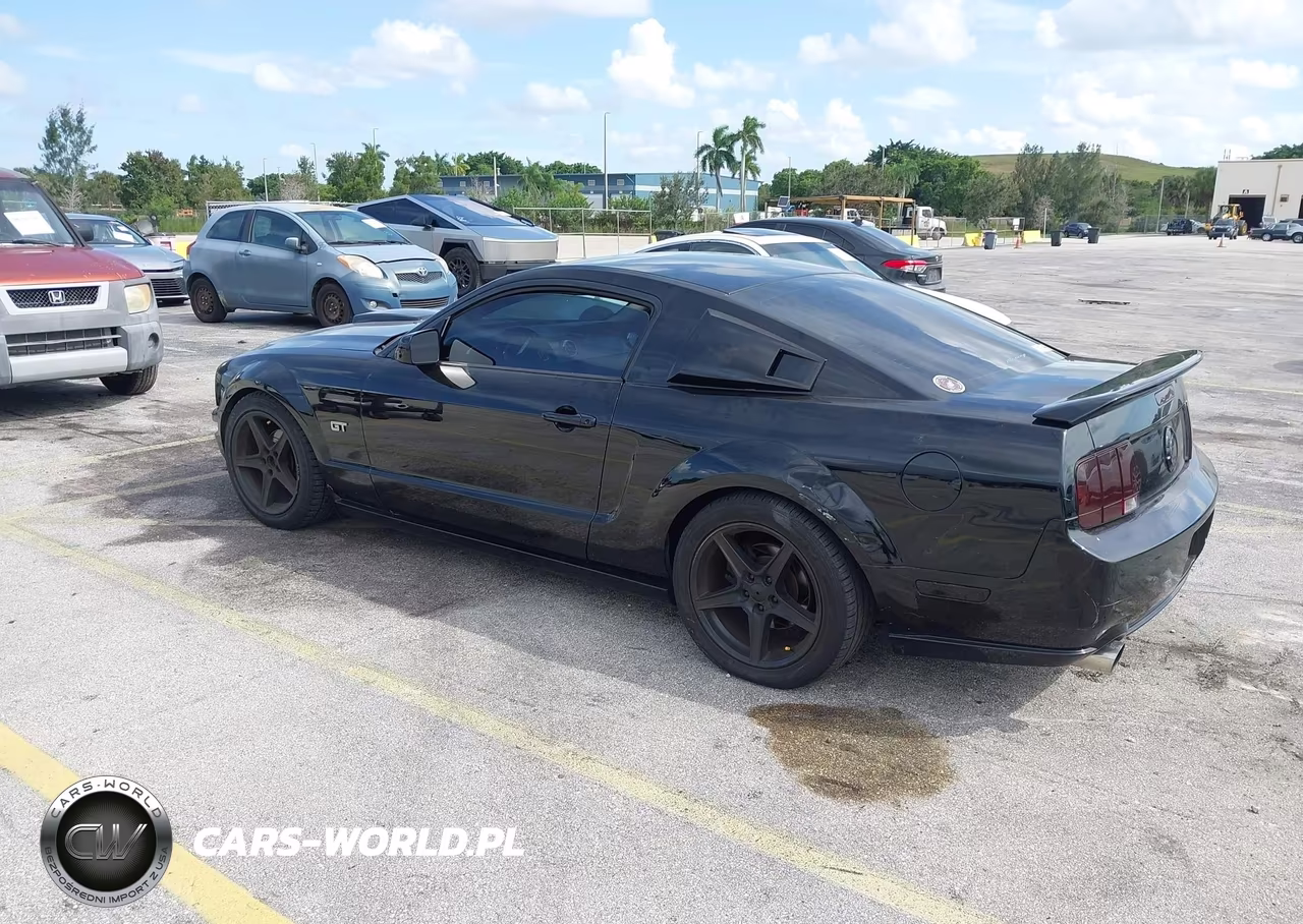 2006 Ford Mustang V6 VIN:1ZVFT80N265181011 - 3