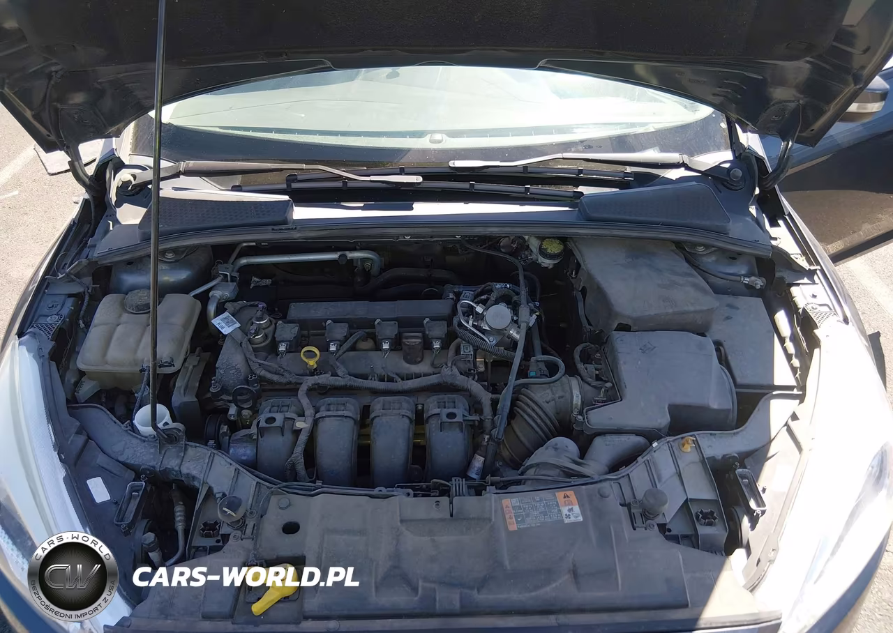2016 Ford Focus Se VIN:1FADP3F26GL380192 - 10