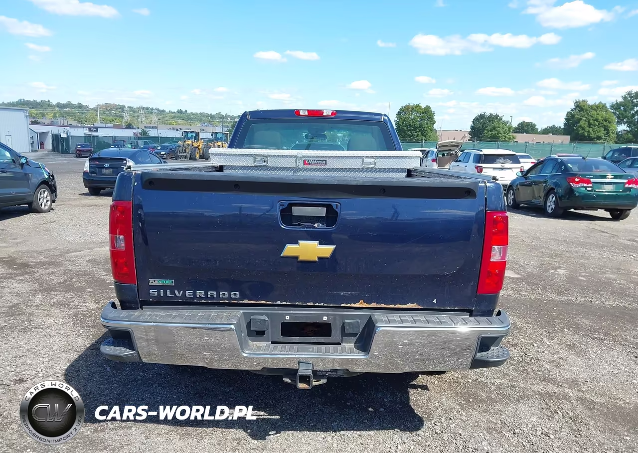 2012 Chevrolet Silverado 1500 Work Truck VIN:1GCNKPEA2CZ212294 - 16