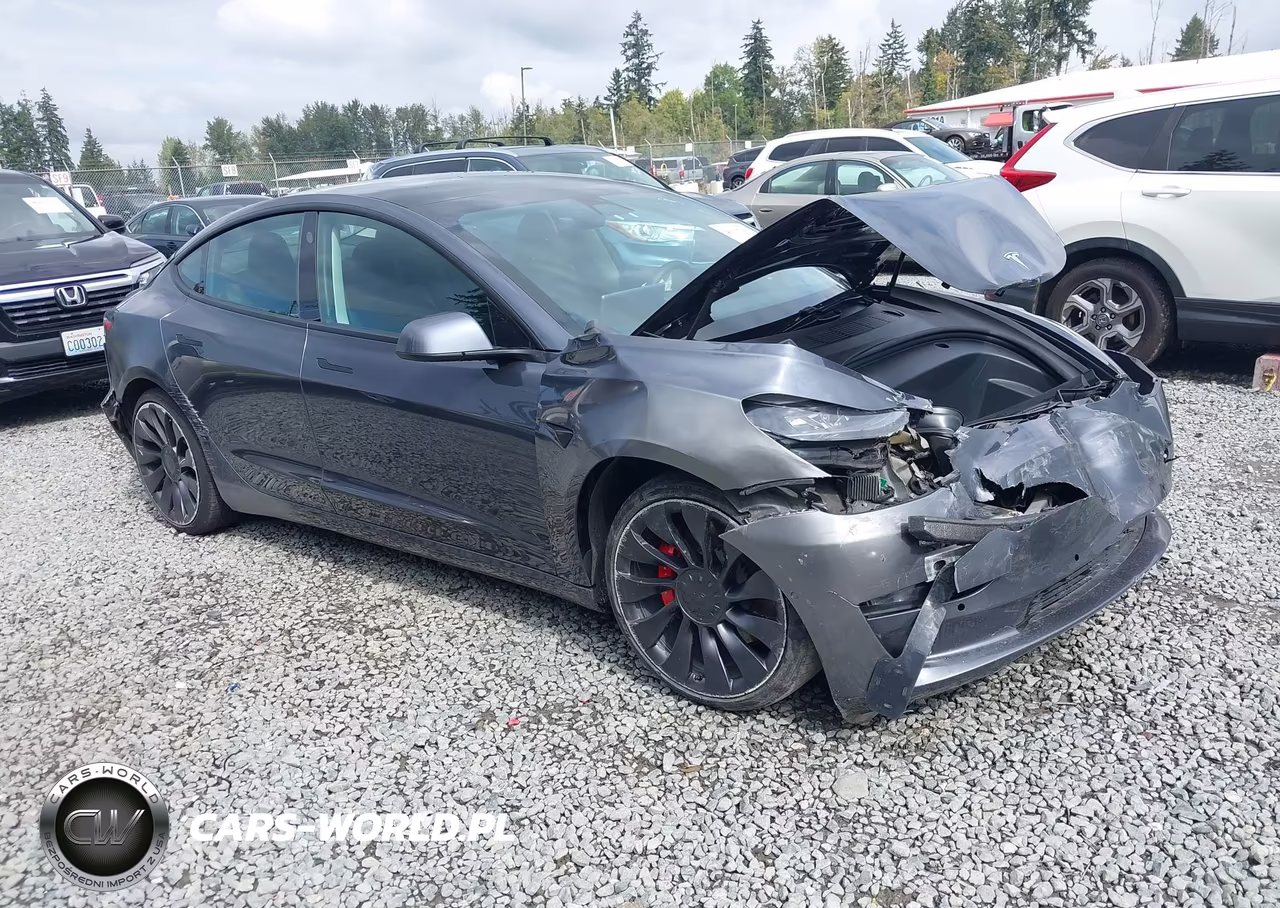 2021 Tesla Model 3 Performance Dual Motor All-Wheel Drive – zdjęcie 1 z 19