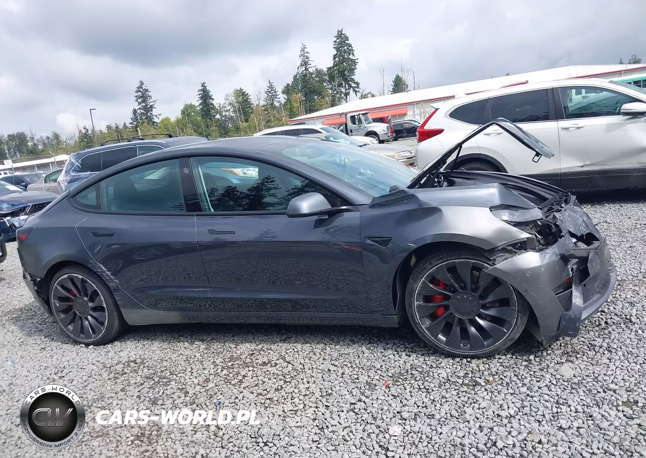 2021 Tesla Model 3 Performance Dual Motor All-Wheel Drive VIN:5YJ3E1EC1MF926051 - 12