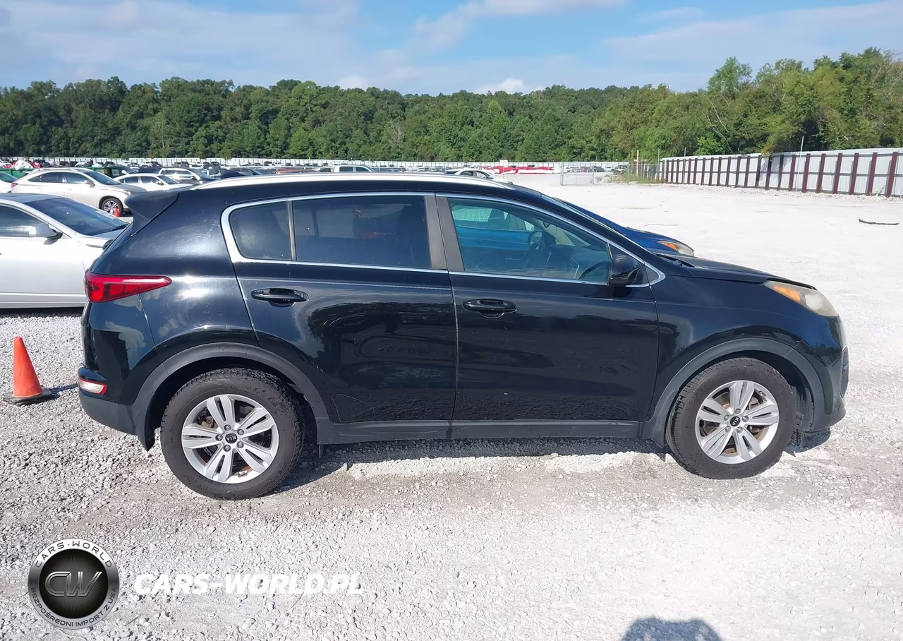2017 Kia Sportage Lx VIN:KNDPM3AC6H7122829 - 13