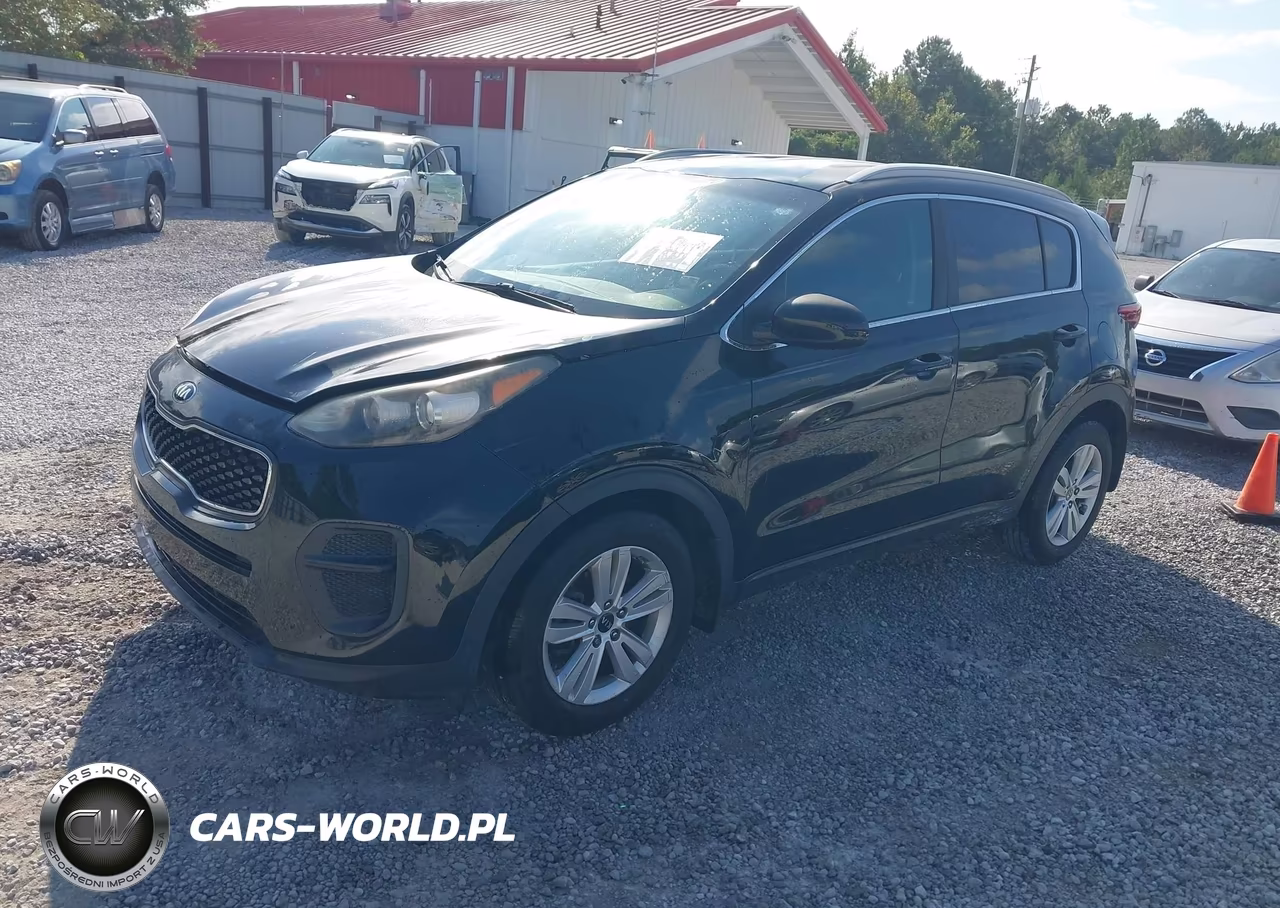 2017 Kia Sportage Lx VIN:KNDPM3AC6H7122829 - 2