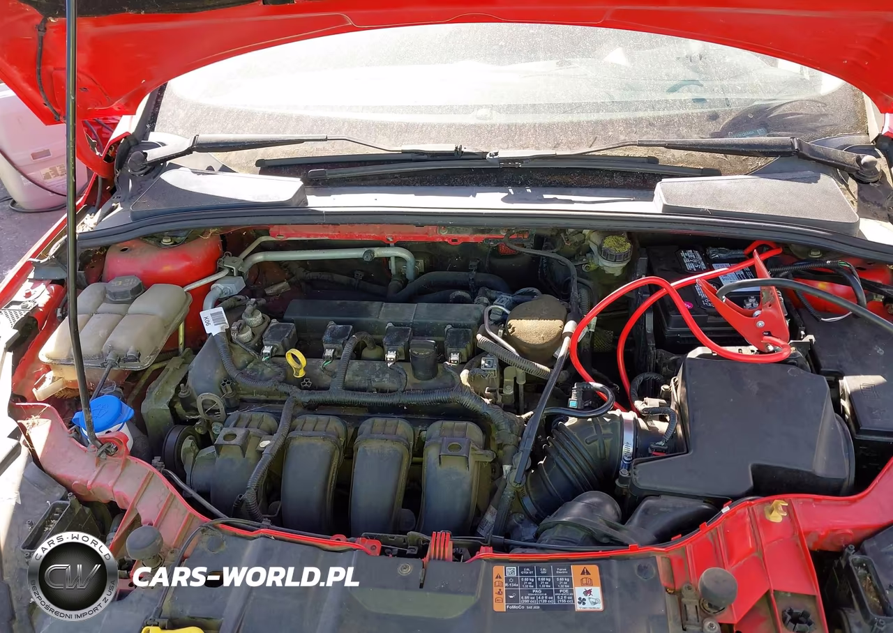 2015 Ford Focus Se VIN:1FADP3F23FL324404 - 10