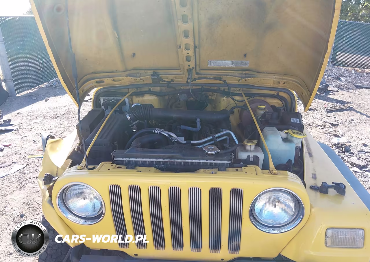 2002 Jeep Wrangler Sport VIN:1J4FA49S42P742148 - 10