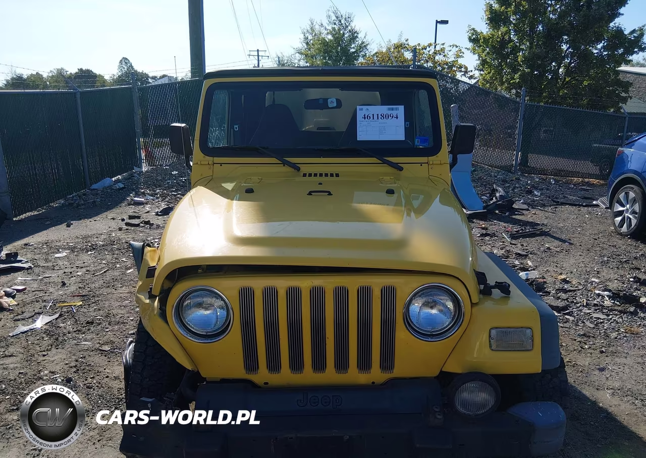 2002 Jeep Wrangler Sport VIN:1J4FA49S42P742148 - 11