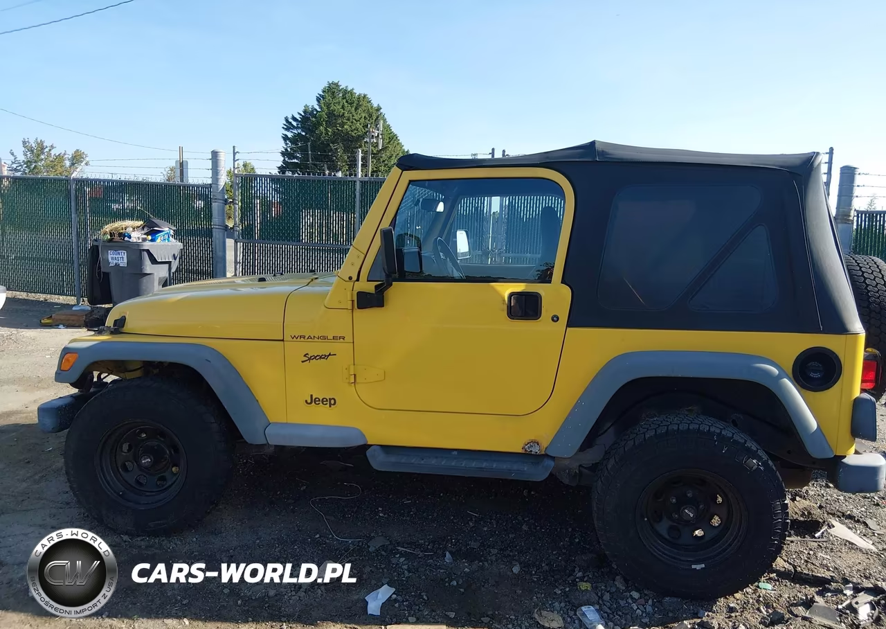 2002 Jeep Wrangler Sport VIN:1J4FA49S42P742148 - 13
