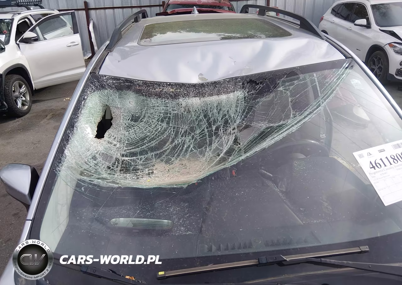 2019 Subaru Forester Premium VIN:JF2SKAGC7KH519299 - 6