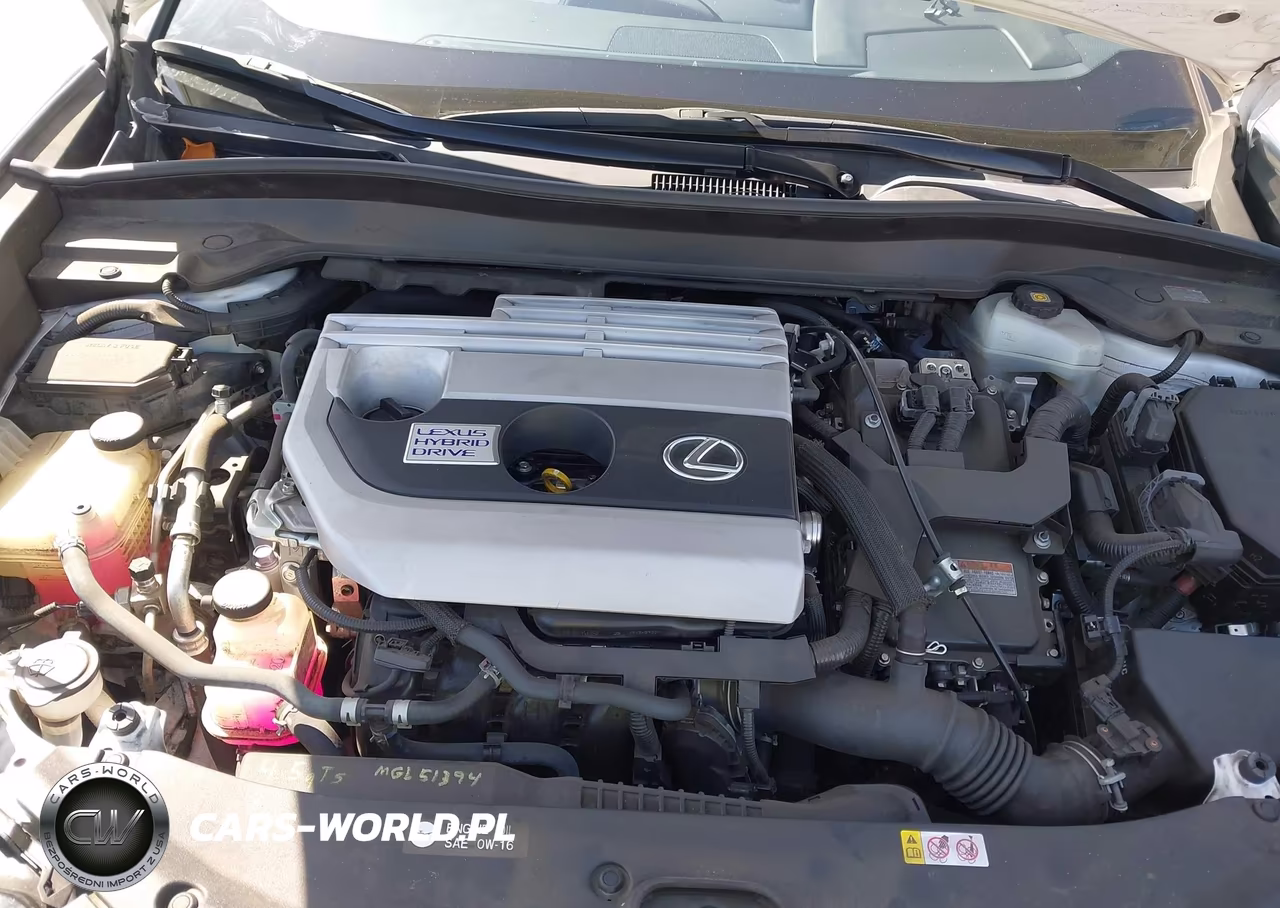 2019 Lexus Ux 250H VIN:JTHU9JBHXK2007978 - 10