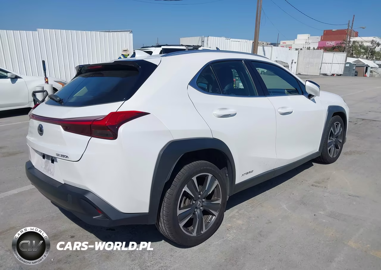 2019 Lexus Ux 250H VIN:JTHU9JBHXK2007978 - 4