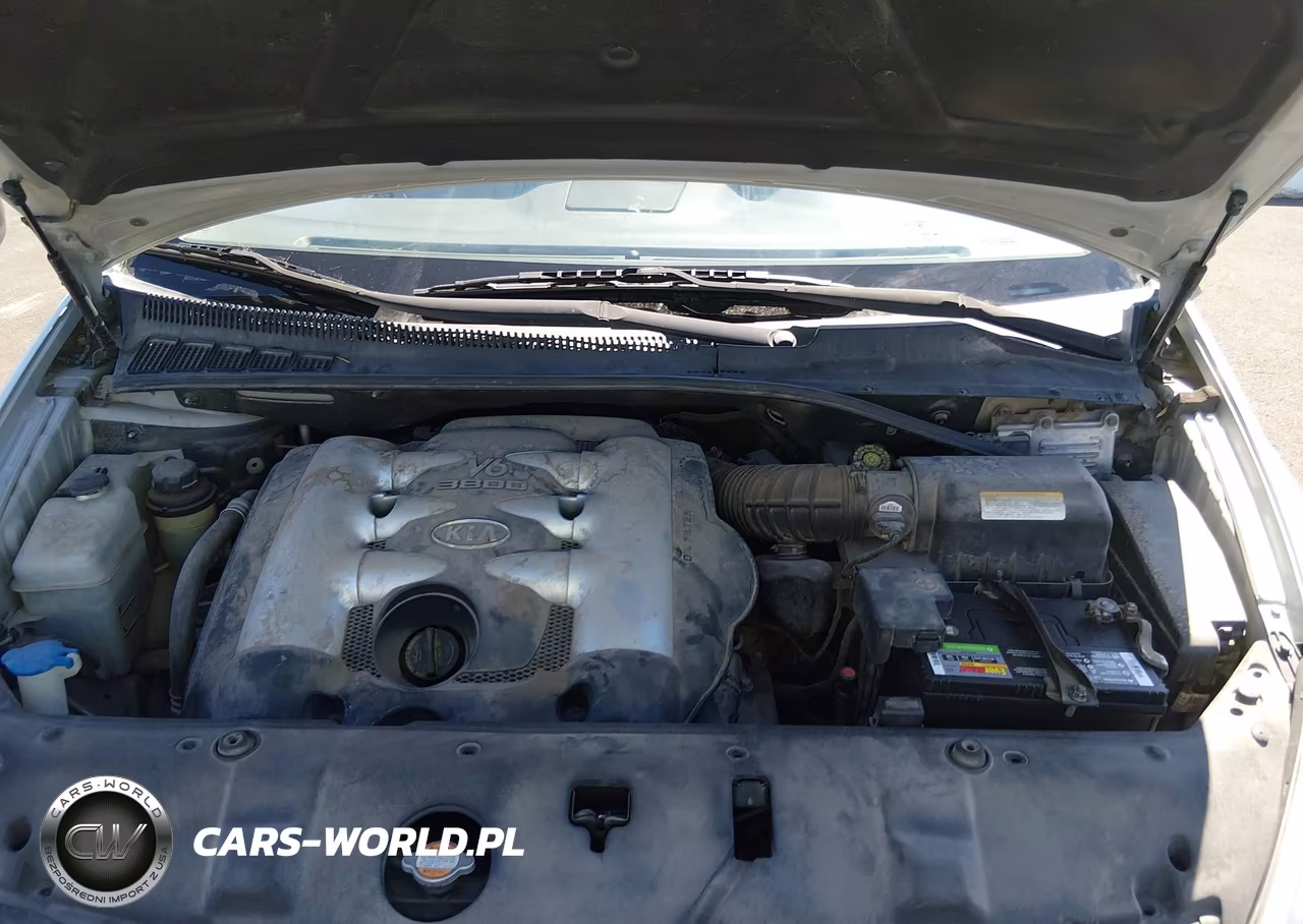 2006 Kia Sedona Ex-Lx VIN:KNDMB233966080577 - 10