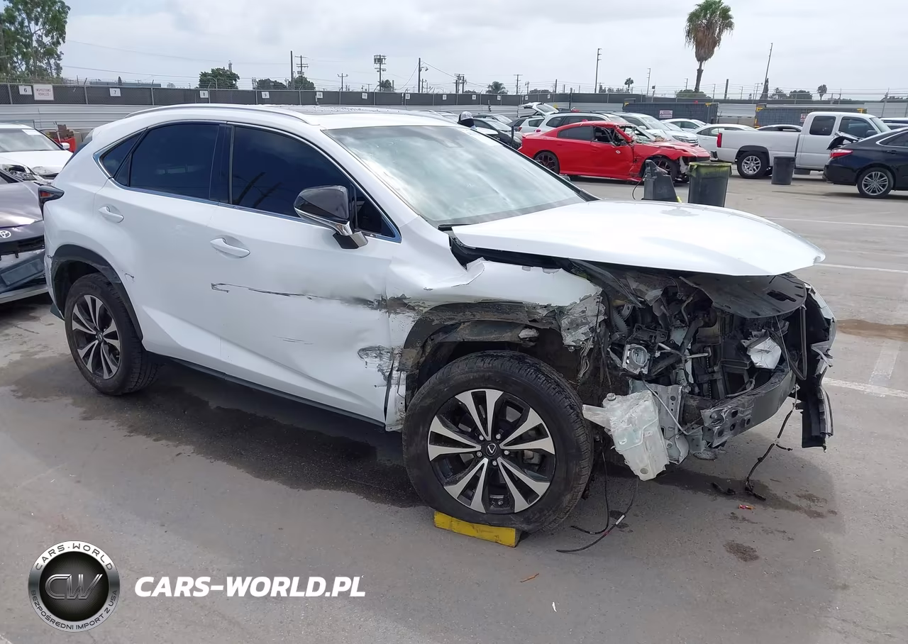 2018 Lexus Nx 300 F Sport