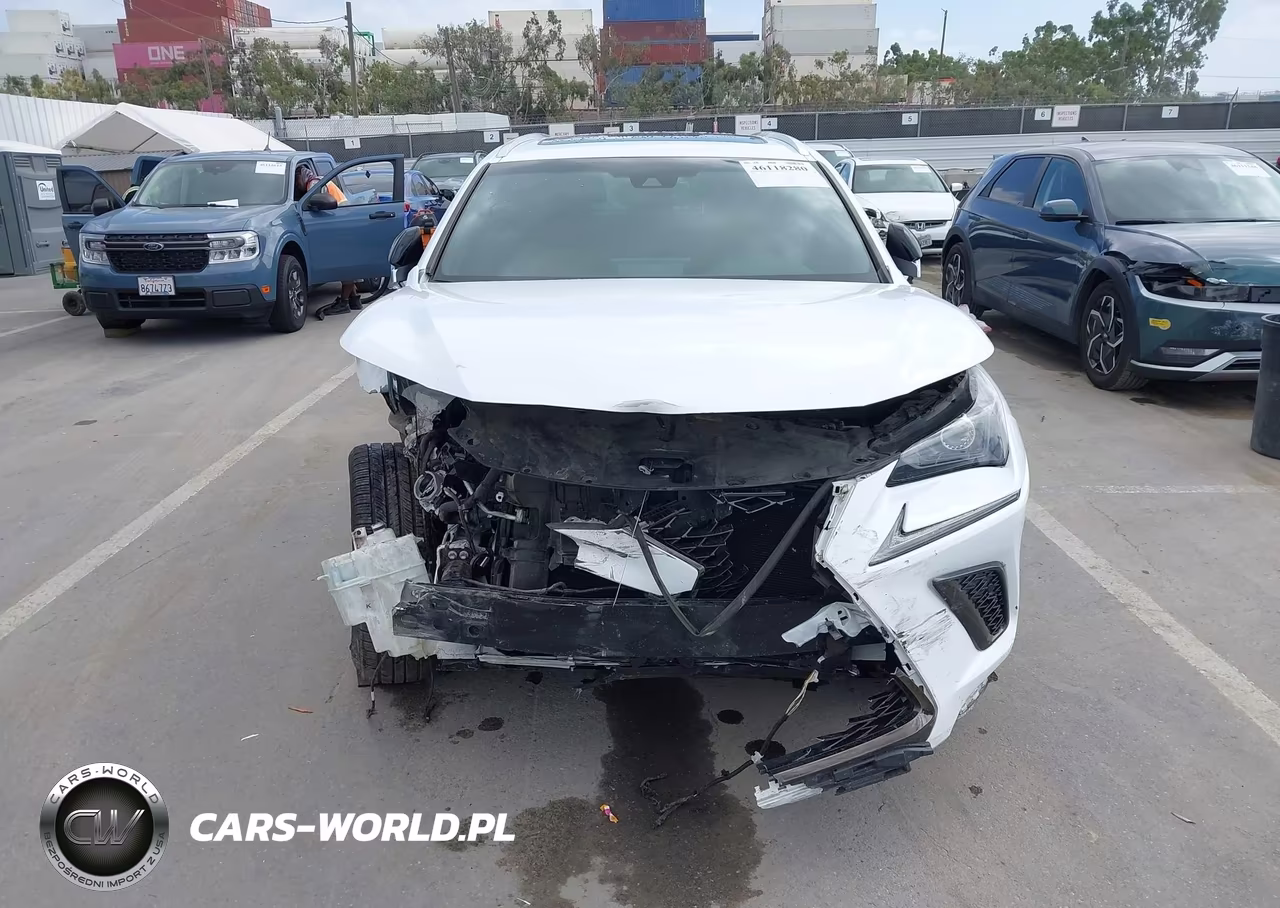 2018 Lexus Nx 300 F Sport VIN:JTJBARBZ1J2176757 - 12