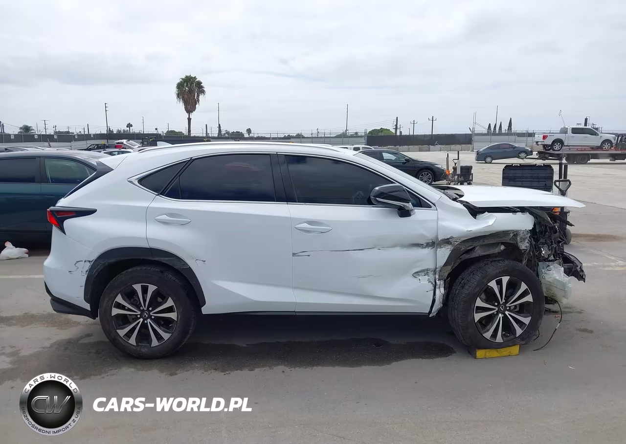 2018 Lexus Nx 300 F Sport VIN:JTJBARBZ1J2176757 - 13