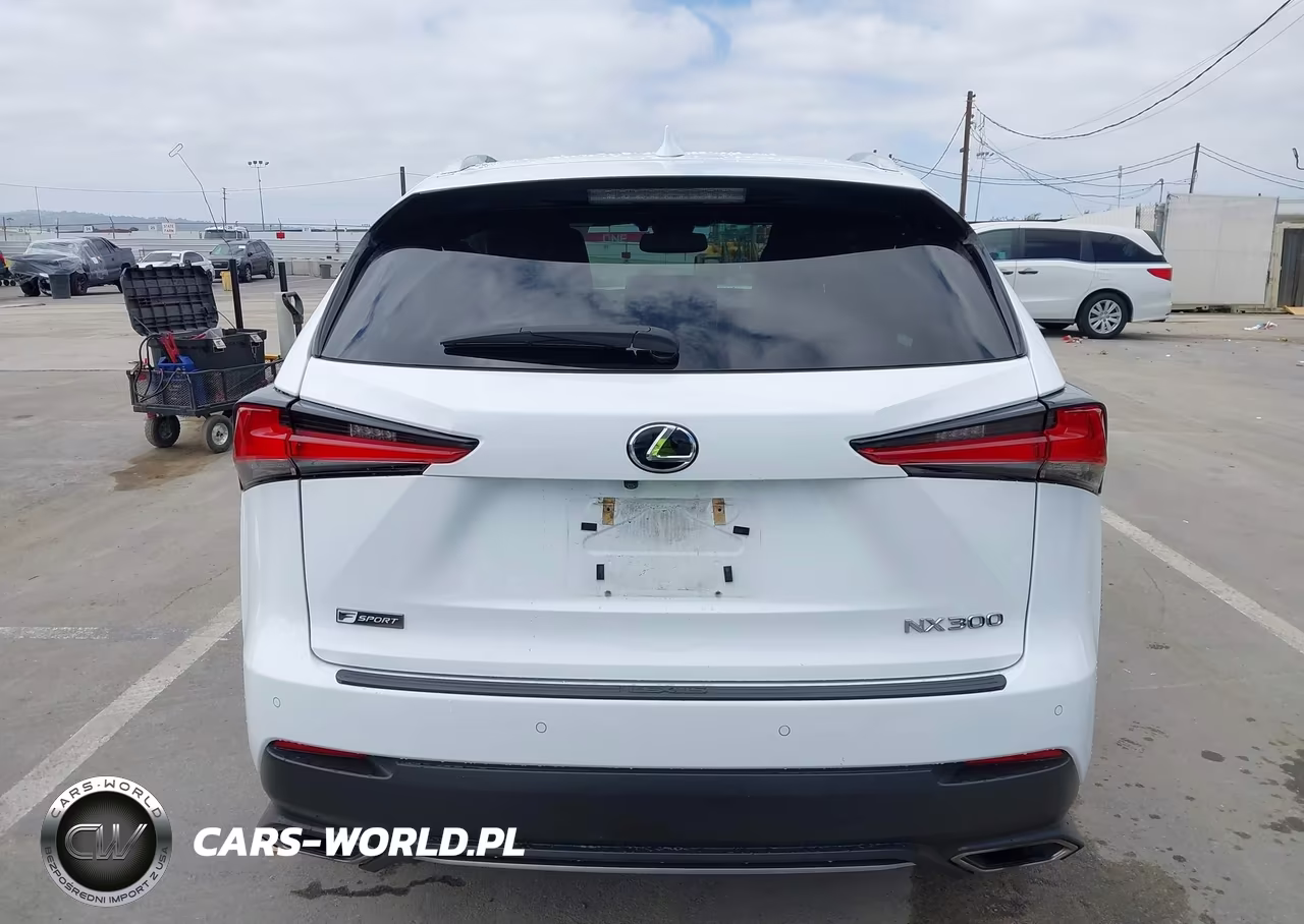 2018 Lexus Nx 300 F Sport VIN:JTJBARBZ1J2176757 - 16
