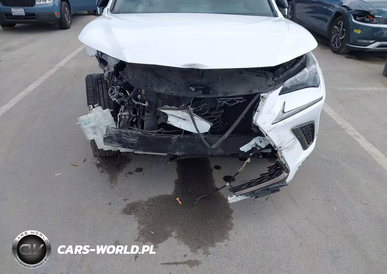 2018 Lexus Nx 300 F Sport VIN:JTJBARBZ1J2176757 - 6