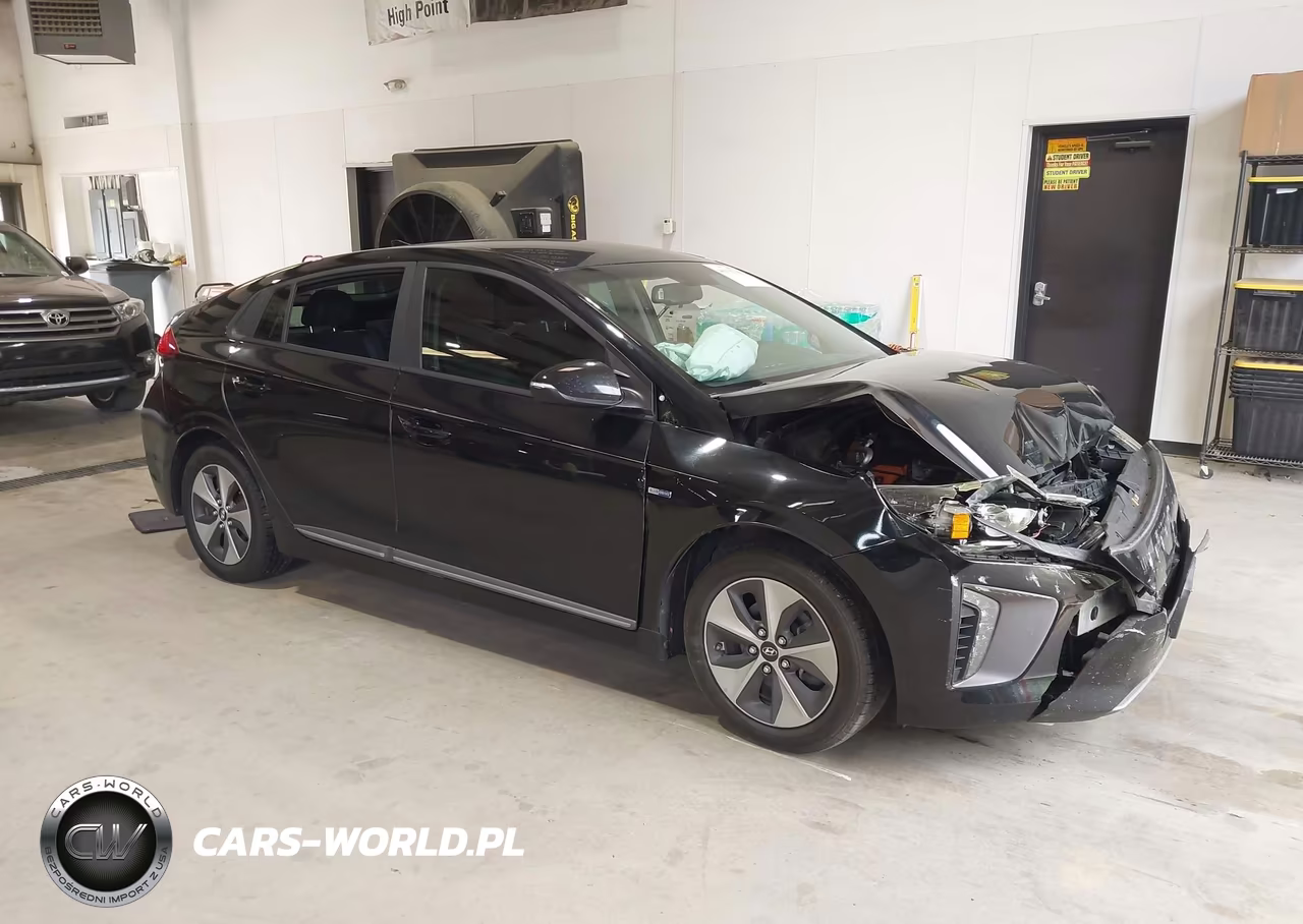 2019 Hyundai Ioniq Electric VIN:KMHC75LH5KU044462 - 1