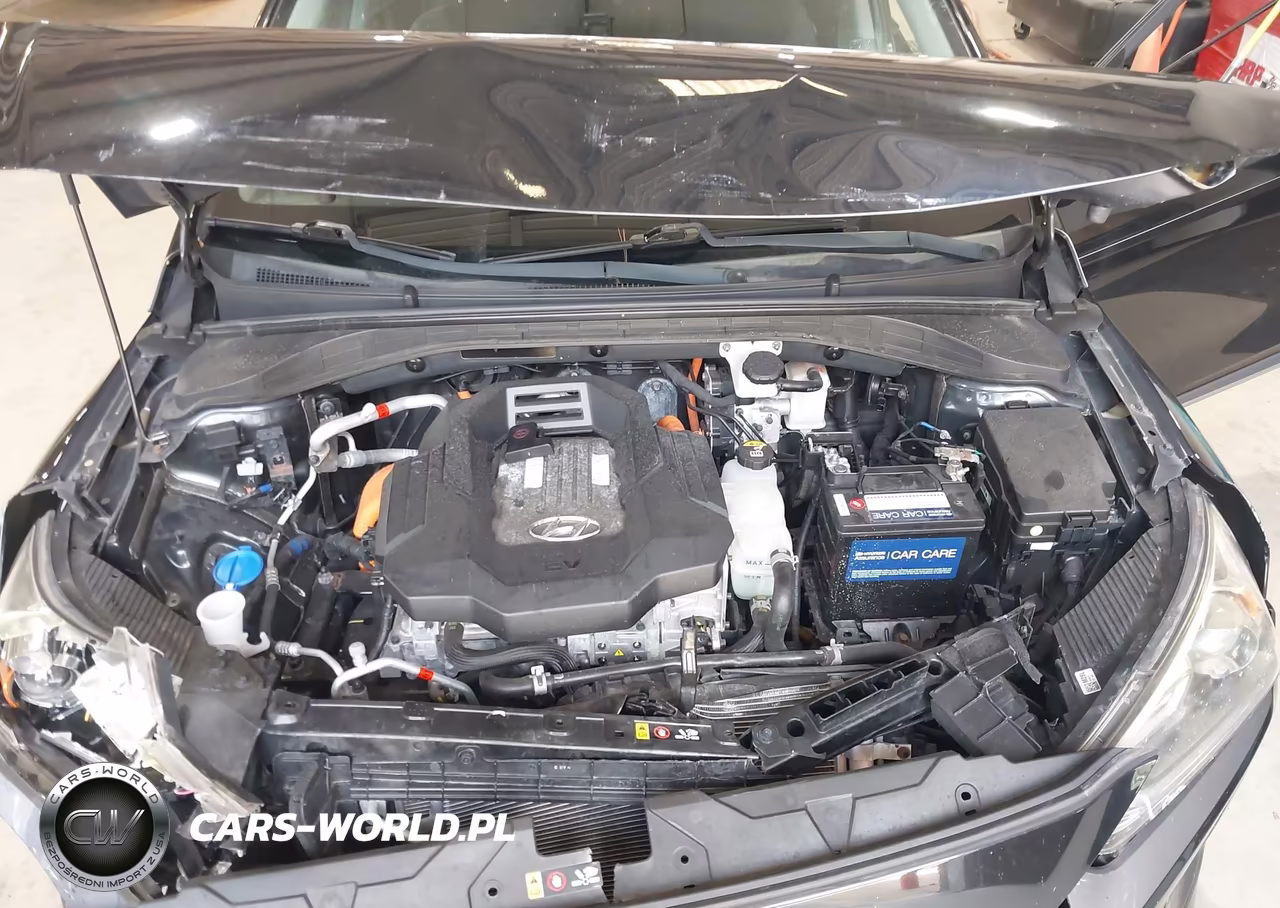2019 Hyundai Ioniq Electric VIN:KMHC75LH5KU044462 - 10
