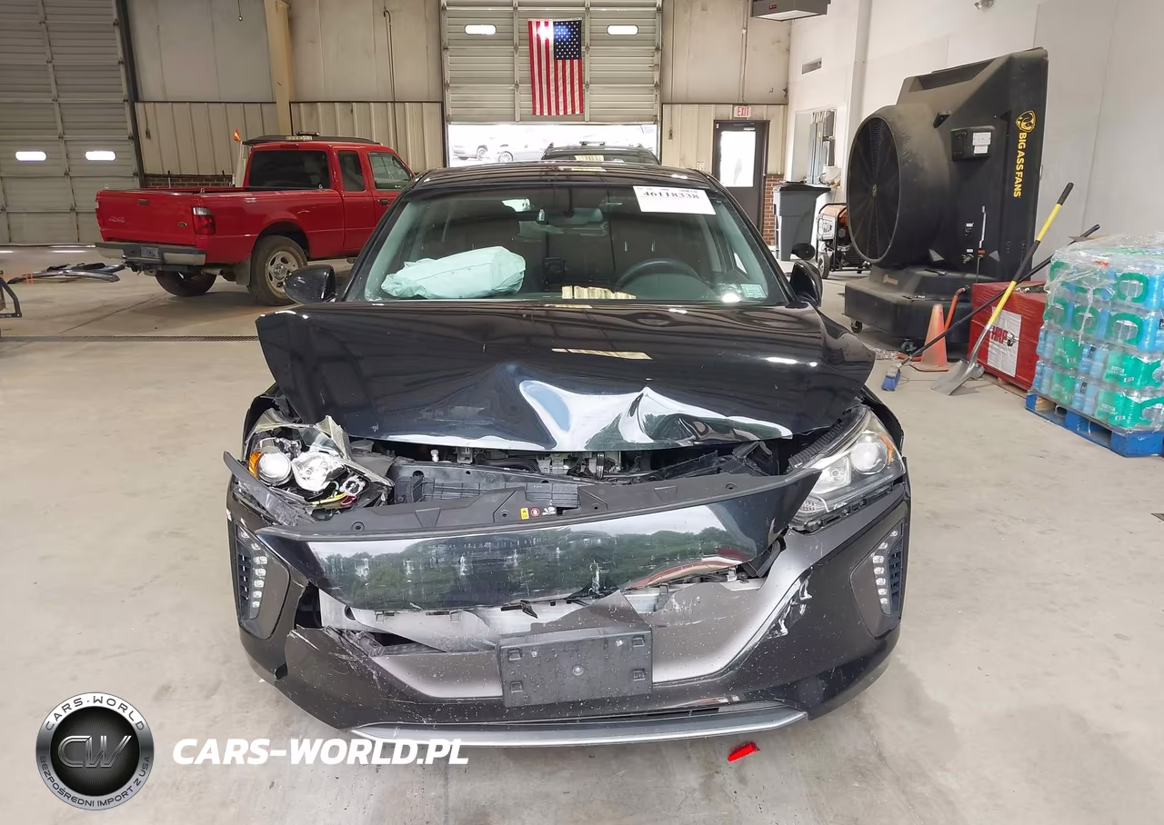 2019 Hyundai Ioniq Electric VIN:KMHC75LH5KU044462 - 12