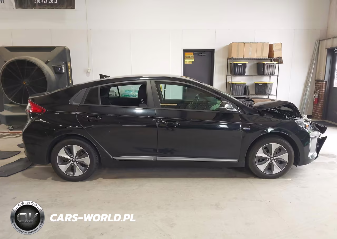 2019 Hyundai Ioniq Electric VIN:KMHC75LH5KU044462 - 13