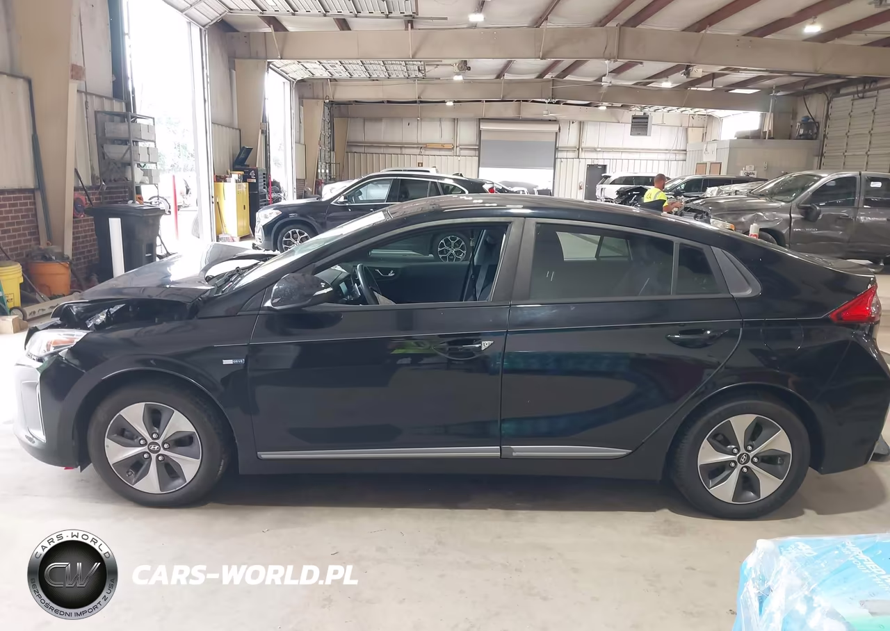 2019 Hyundai Ioniq Electric VIN:KMHC75LH5KU044462 - 14