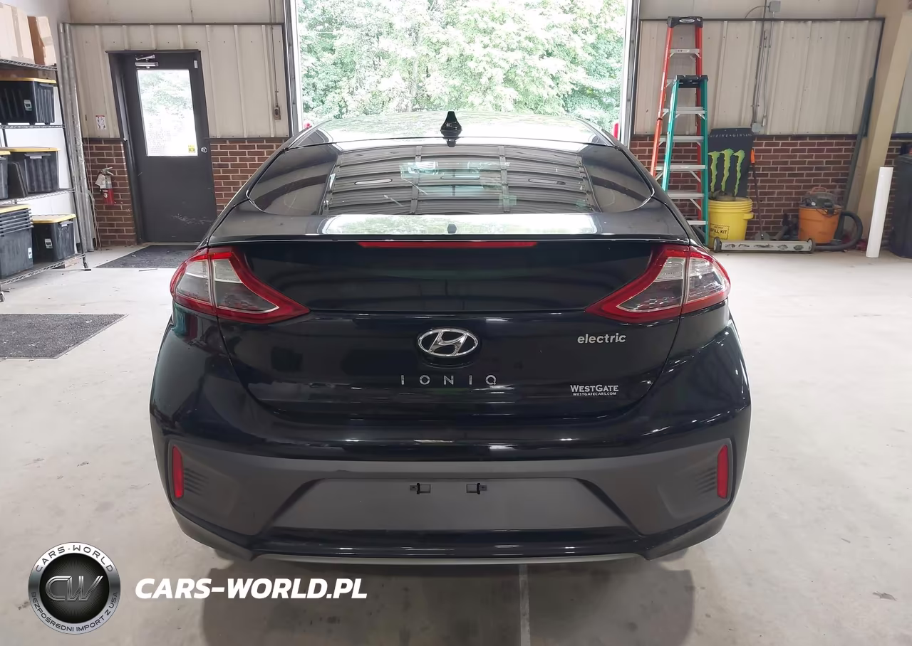 2019 Hyundai Ioniq Electric VIN:KMHC75LH5KU044462 - 16