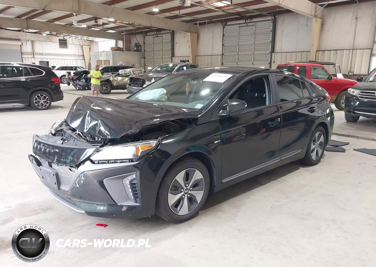 2019 Hyundai Ioniq Electric VIN:KMHC75LH5KU044462 - 2