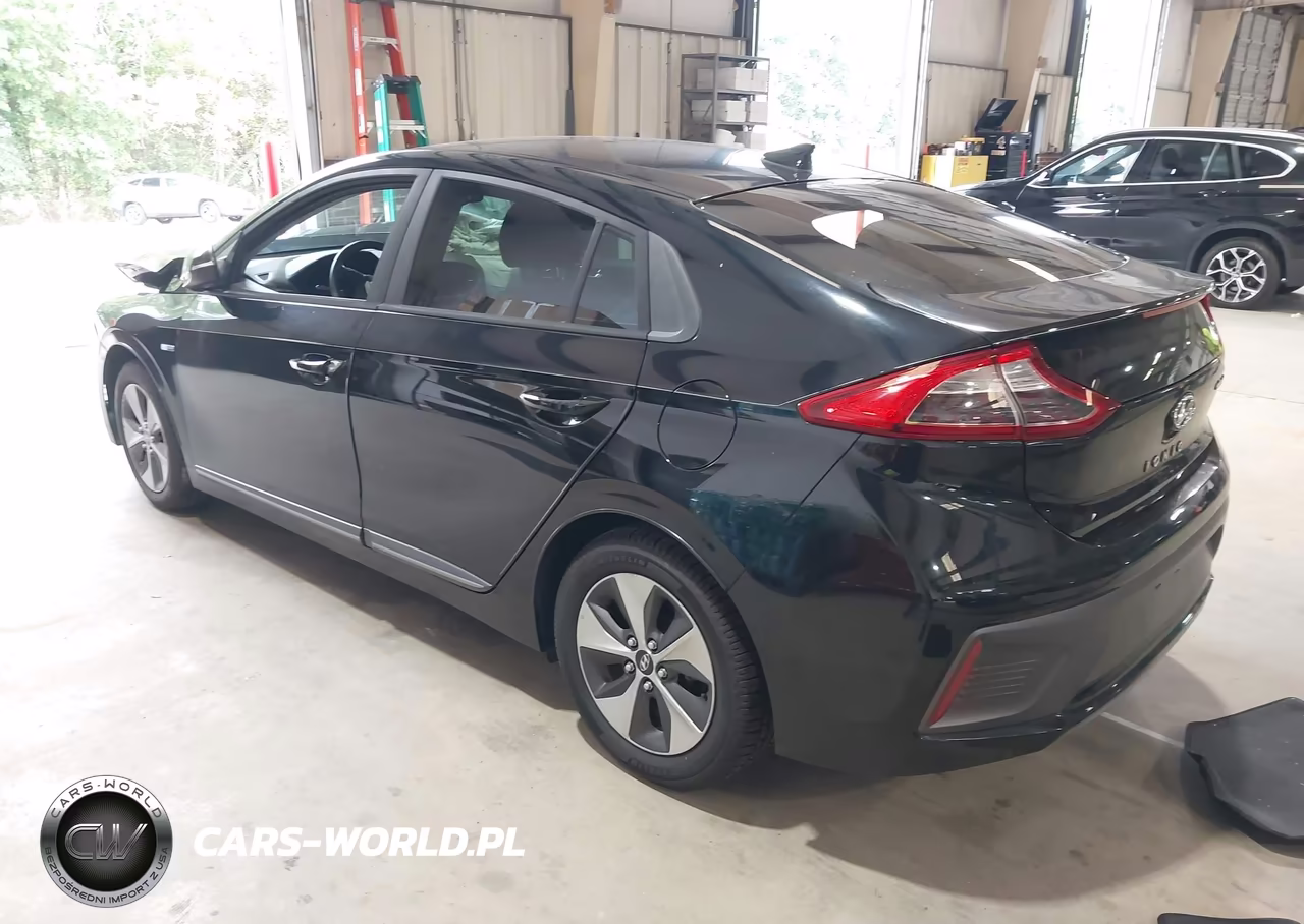 2019 Hyundai Ioniq Electric VIN:KMHC75LH5KU044462 - 3