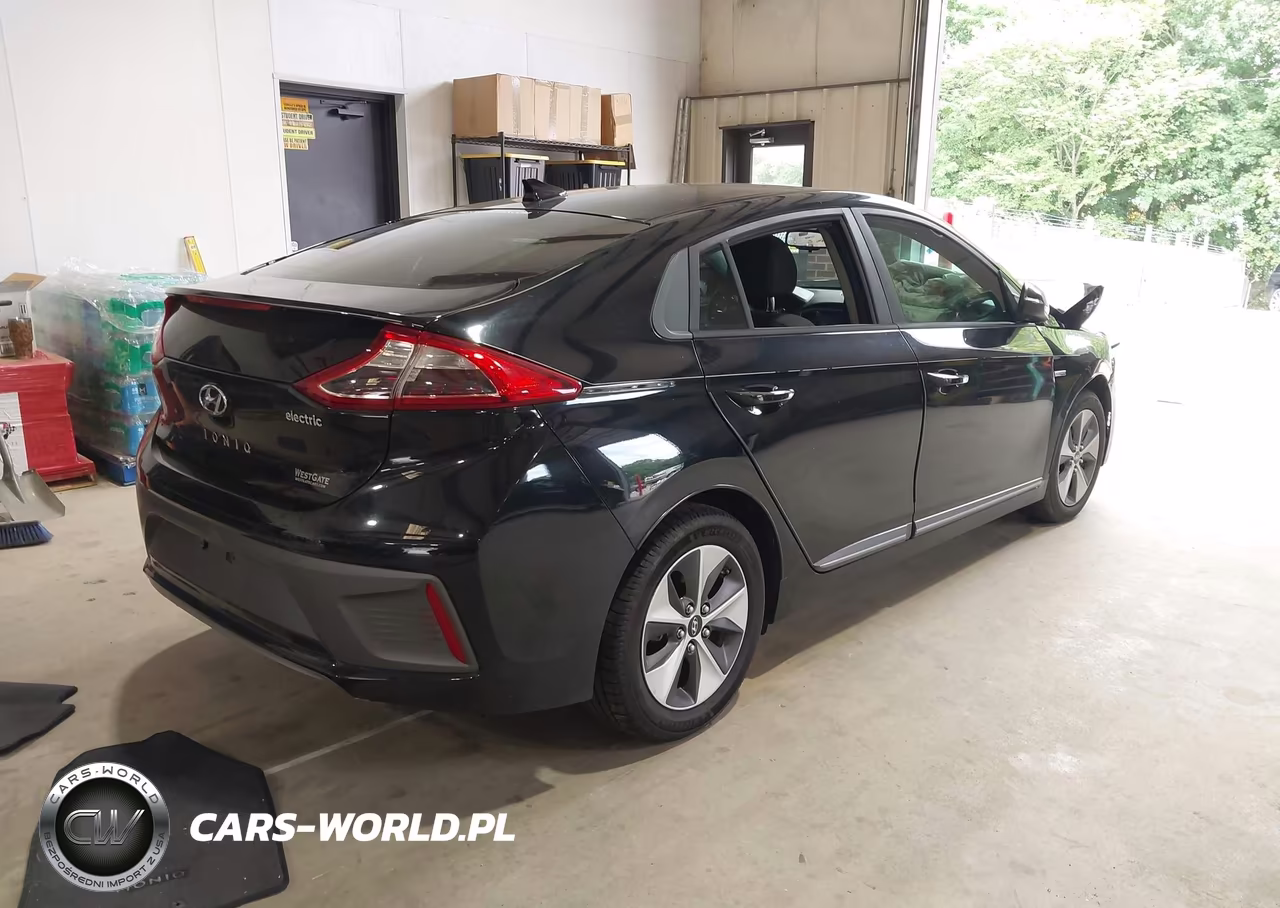 2019 Hyundai Ioniq Electric VIN:KMHC75LH5KU044462 - 4