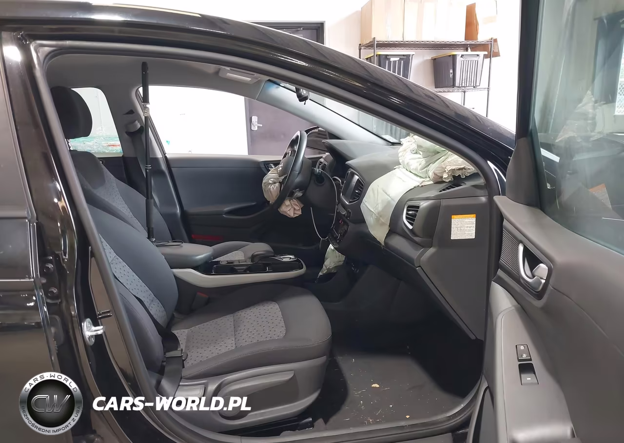 2019 Hyundai Ioniq Electric VIN:KMHC75LH5KU044462 - 5
