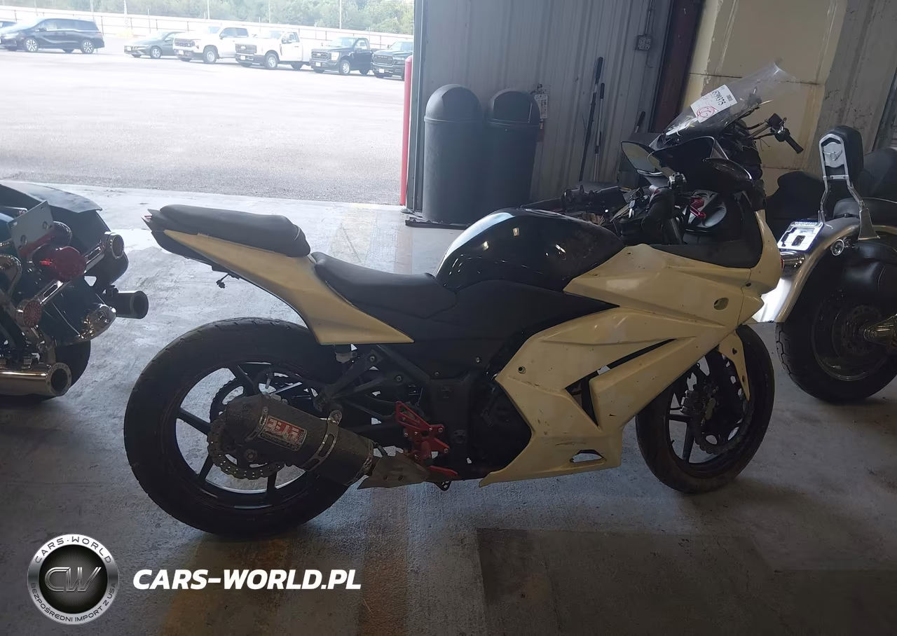 2010 Kawasaki Ex250 J VIN:JKAEXMJ12ADA66783 - 12