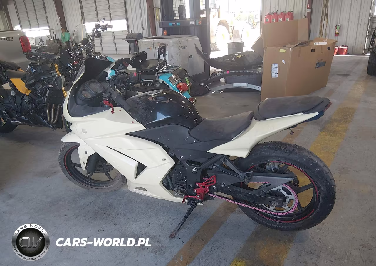 2010 Kawasaki Ex250 J VIN:JKAEXMJ12ADA66783 - 13