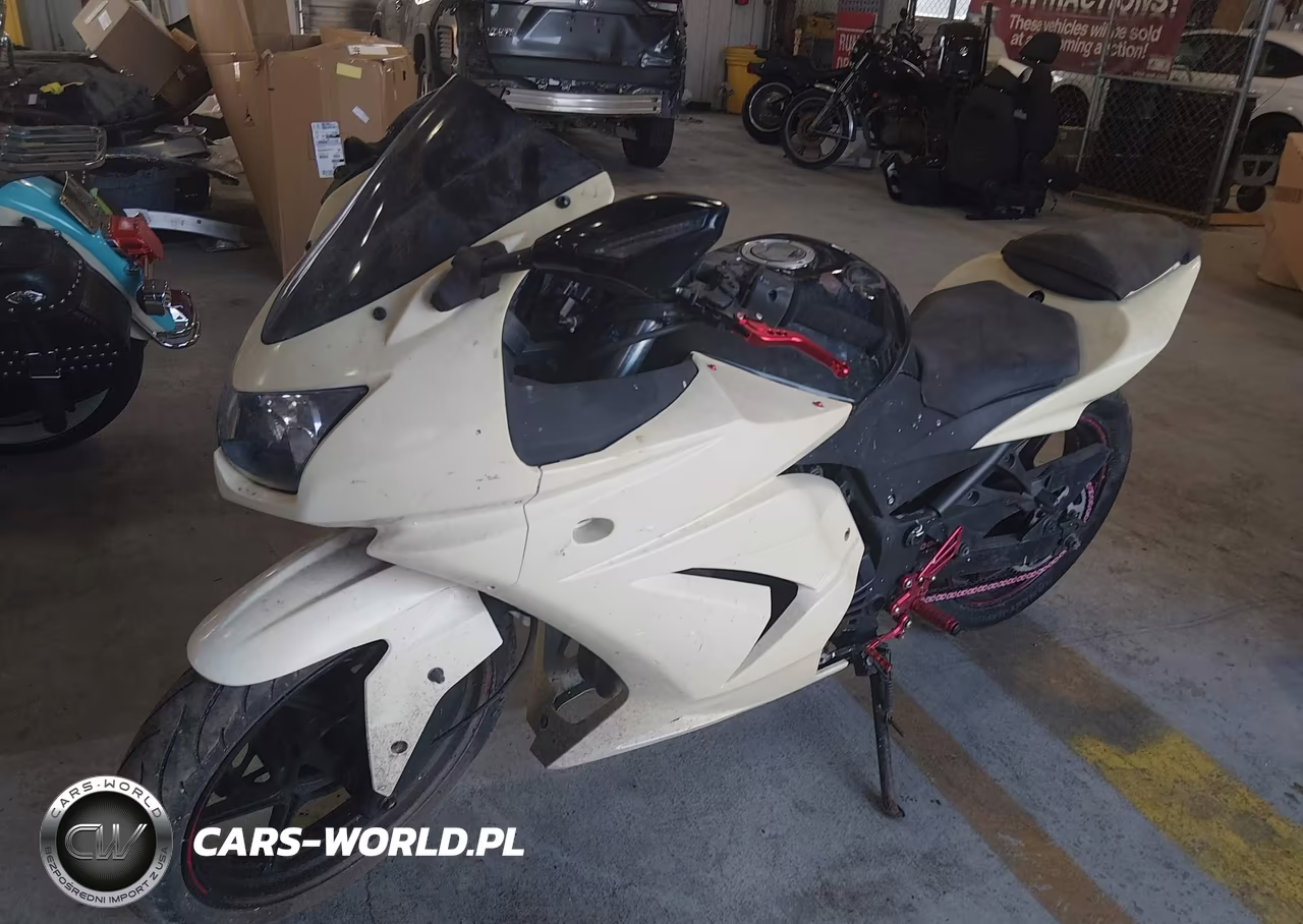 2010 Kawasaki Ex250 J VIN:JKAEXMJ12ADA66783 - 2