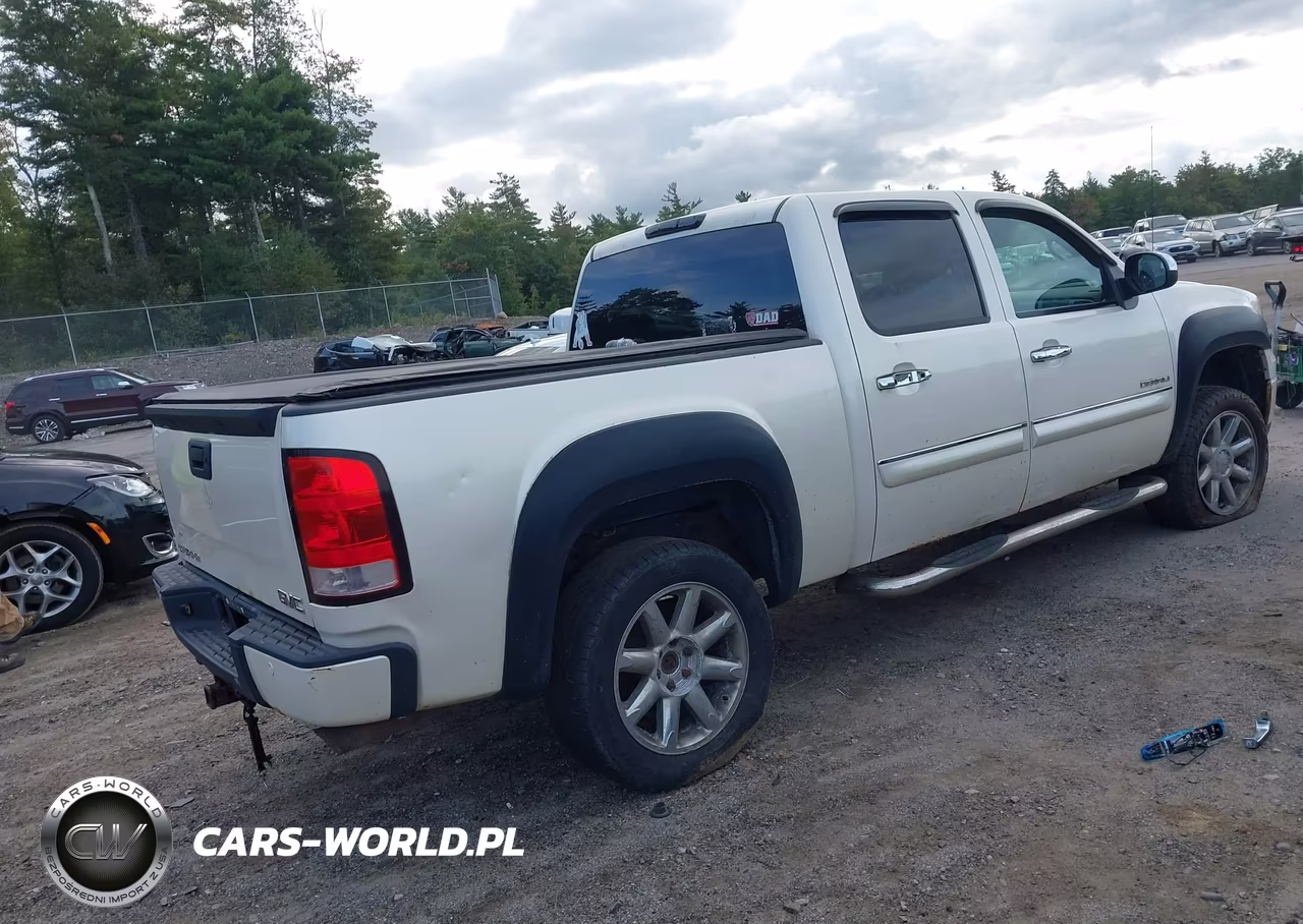 2010 GMC Sierra 1500 Denali VIN:3GTRKXE29AG235014 - 4