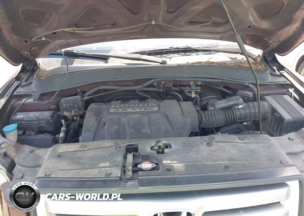 2007 Honda Pilot Ex-L VIN:2HKYF185X7H523353 - 10