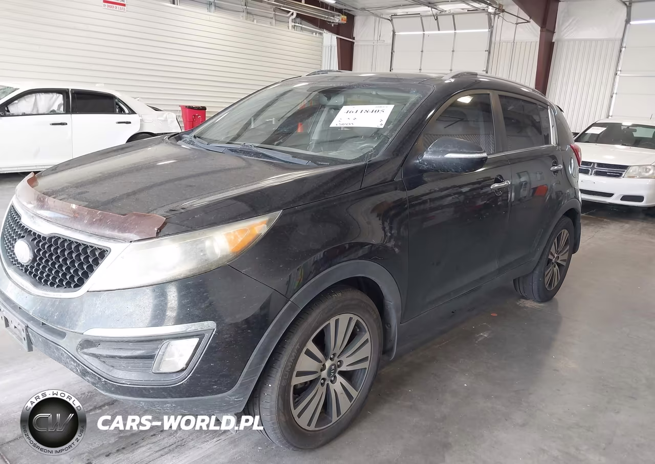 2014 Kia Sportage Ex VIN:KNDPC3AC8E7562789 - 12