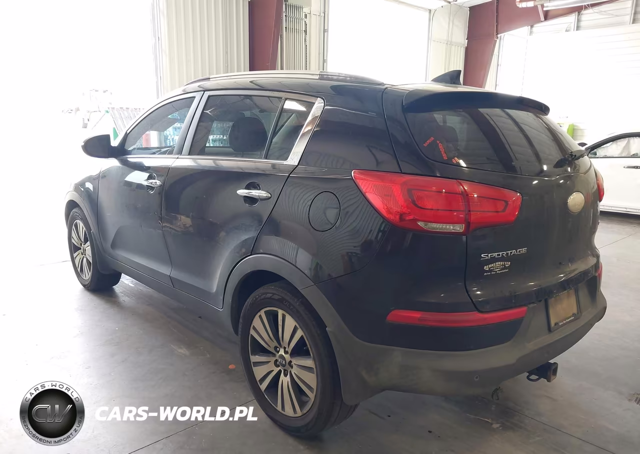 2014 Kia Sportage Ex VIN:KNDPC3AC8E7562789 - 13