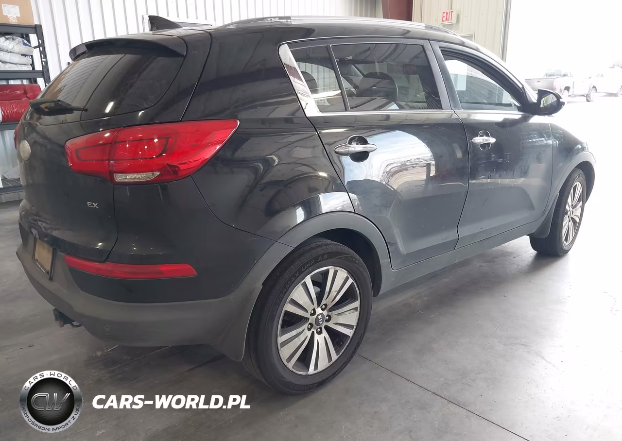 2014 Kia Sportage Ex VIN:KNDPC3AC8E7562789 - 4