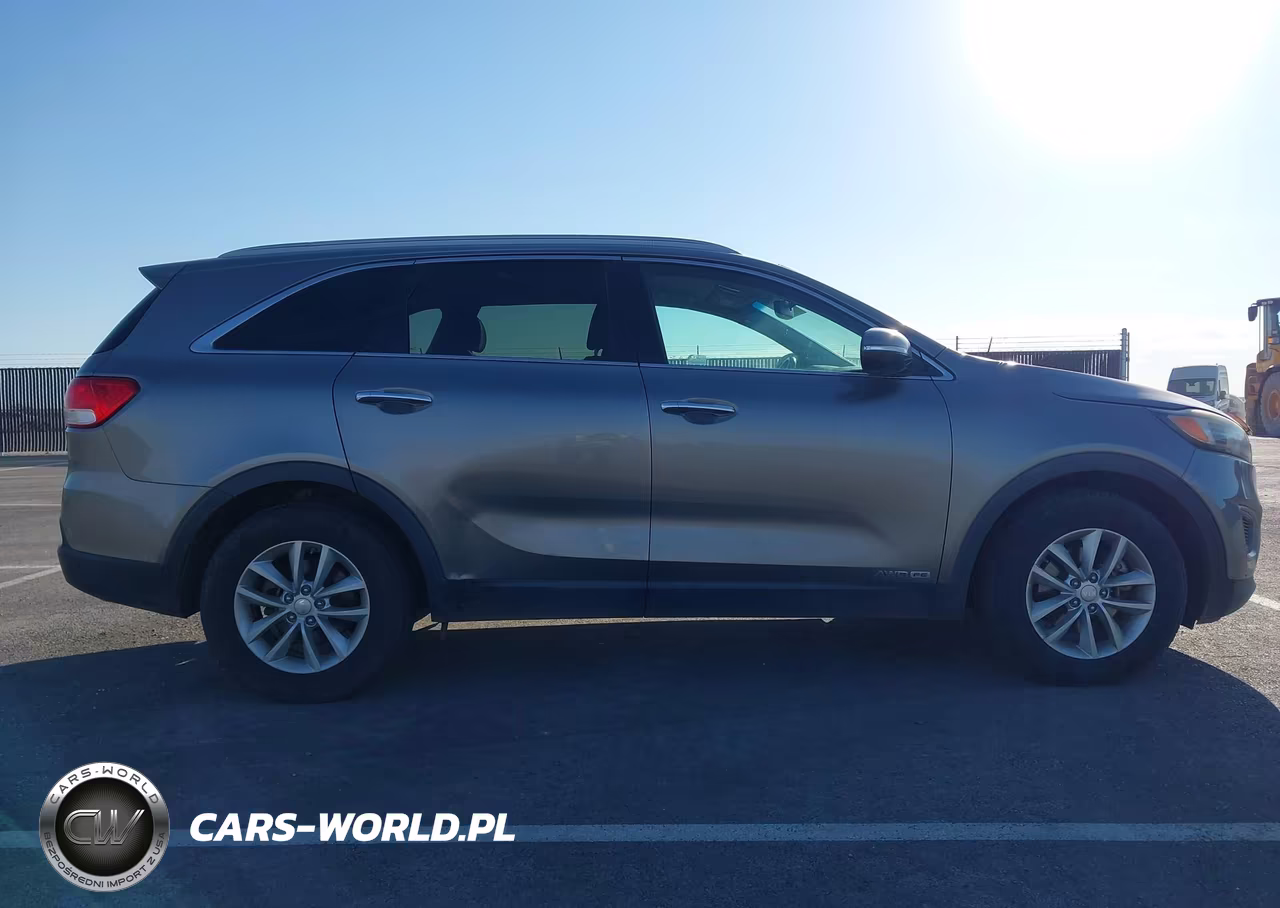 2016 Kia Sorento 3.3L Lx VIN:5XYPGDA59GG009800 - 13