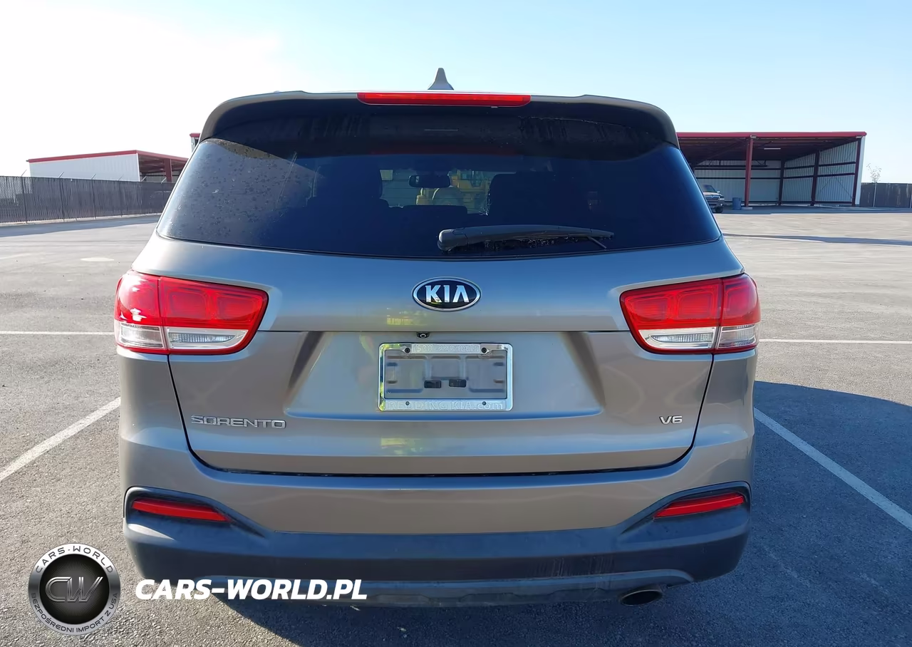 2016 Kia Sorento 3.3L Lx VIN:5XYPGDA59GG009800 - 16