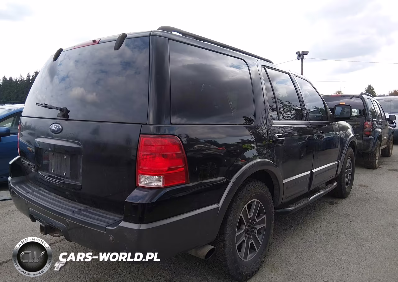 2006 Ford Expedition Xlt-Xlt Sport VIN:1FMPU16566LA34376 - 4