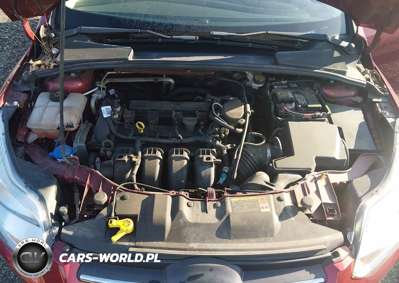 2014 Ford Focus Se VIN:1FADP3K28EL234931 - 10