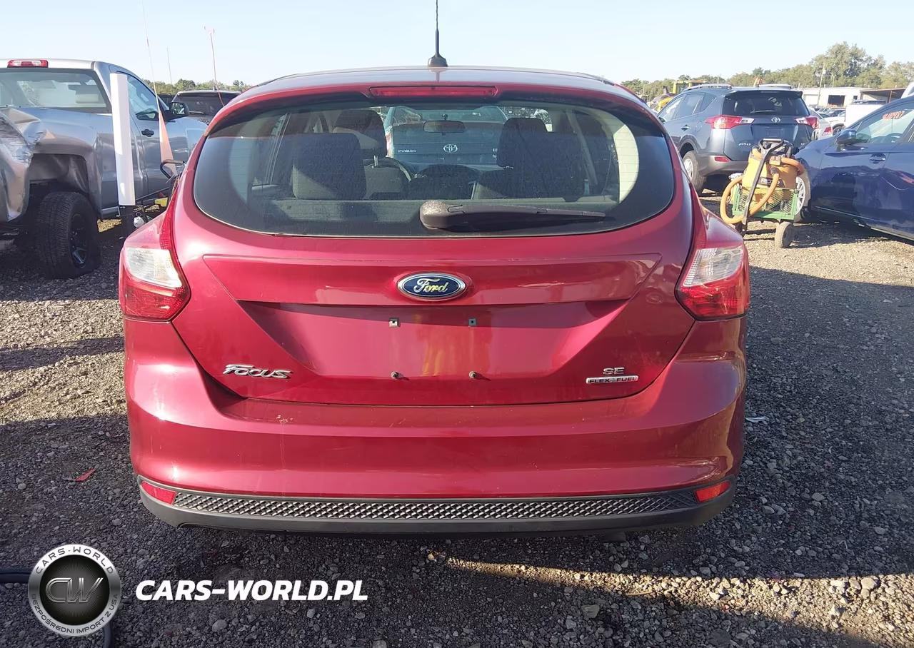 2014 Ford Focus Se VIN:1FADP3K28EL234931 - 16