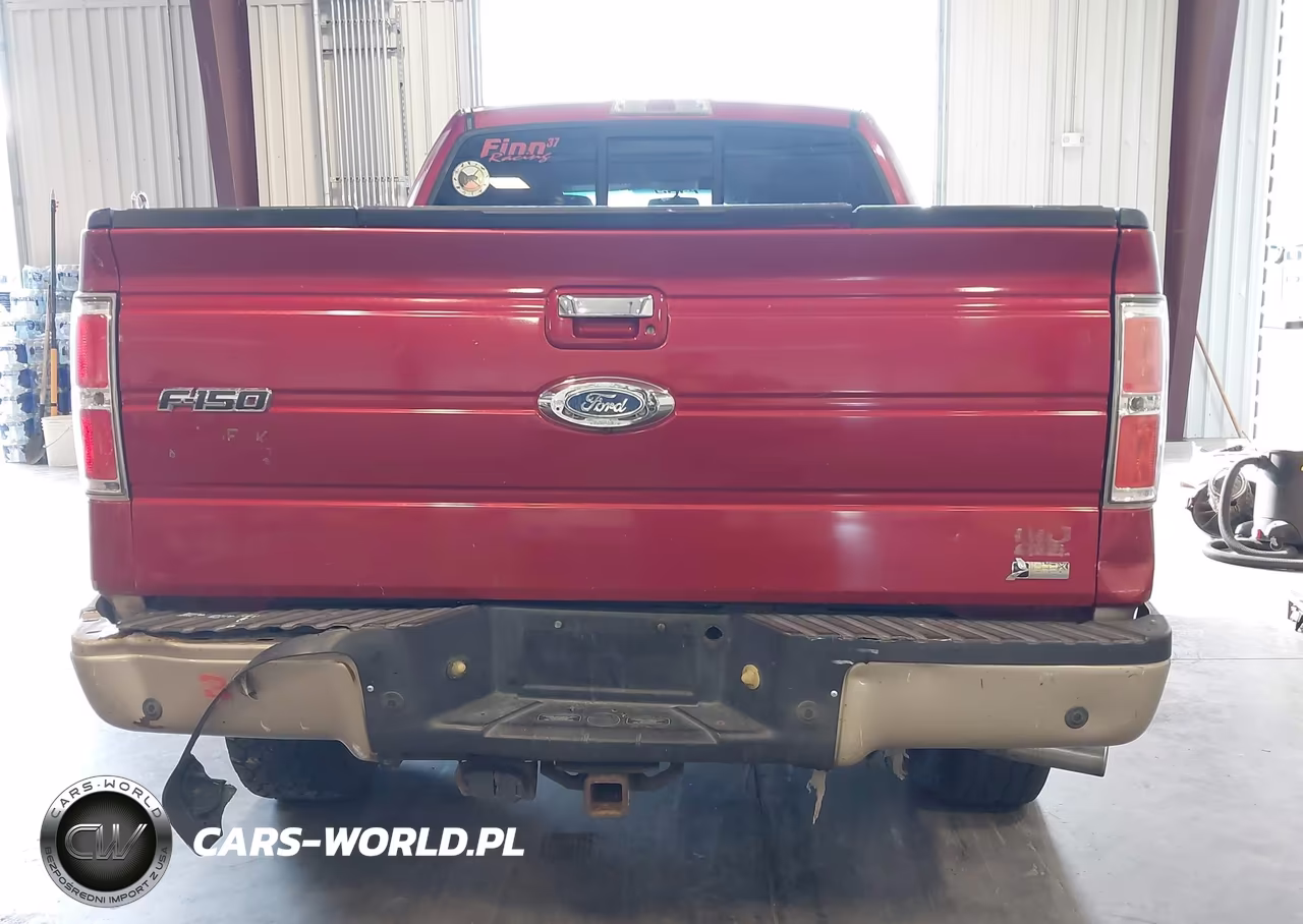 2010 Ford F-150 Fx4-Harley-Davidson-King Ranch-Lariat-Platinum-Xl-Xlt VIN:1FTFW1EV9AFB87482 - 16