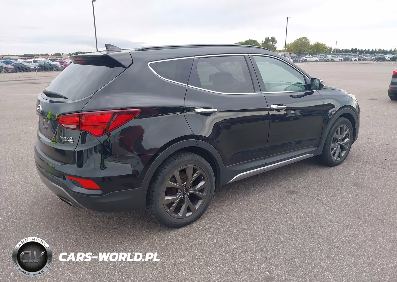 2017 Hyundai Santa Fe Sport 2.0T Ultimate VIN:5XYZWDLA1HG485613 - 4