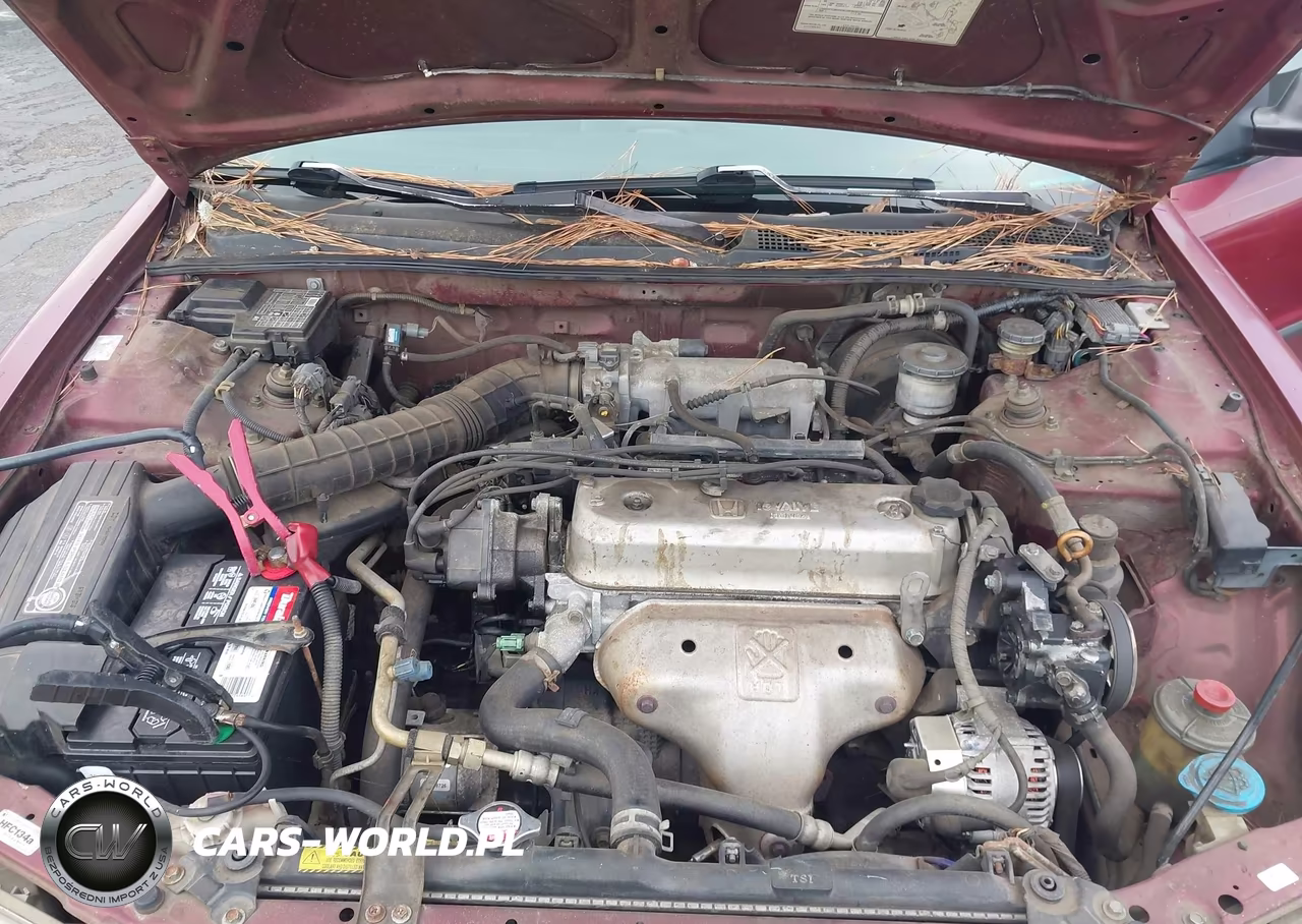 1995 Honda Accord Dx VIN:1HGCD5525SA165839 - 10